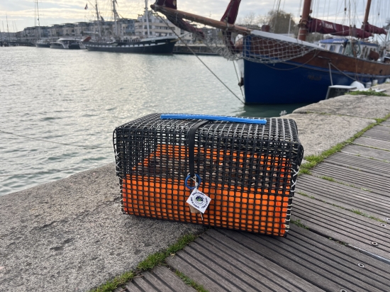 Box Balade en Mer (Grand format)