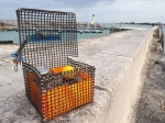 Box Balade en Mer (Petit format)