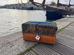 Box Balade en Mer (Grand format)